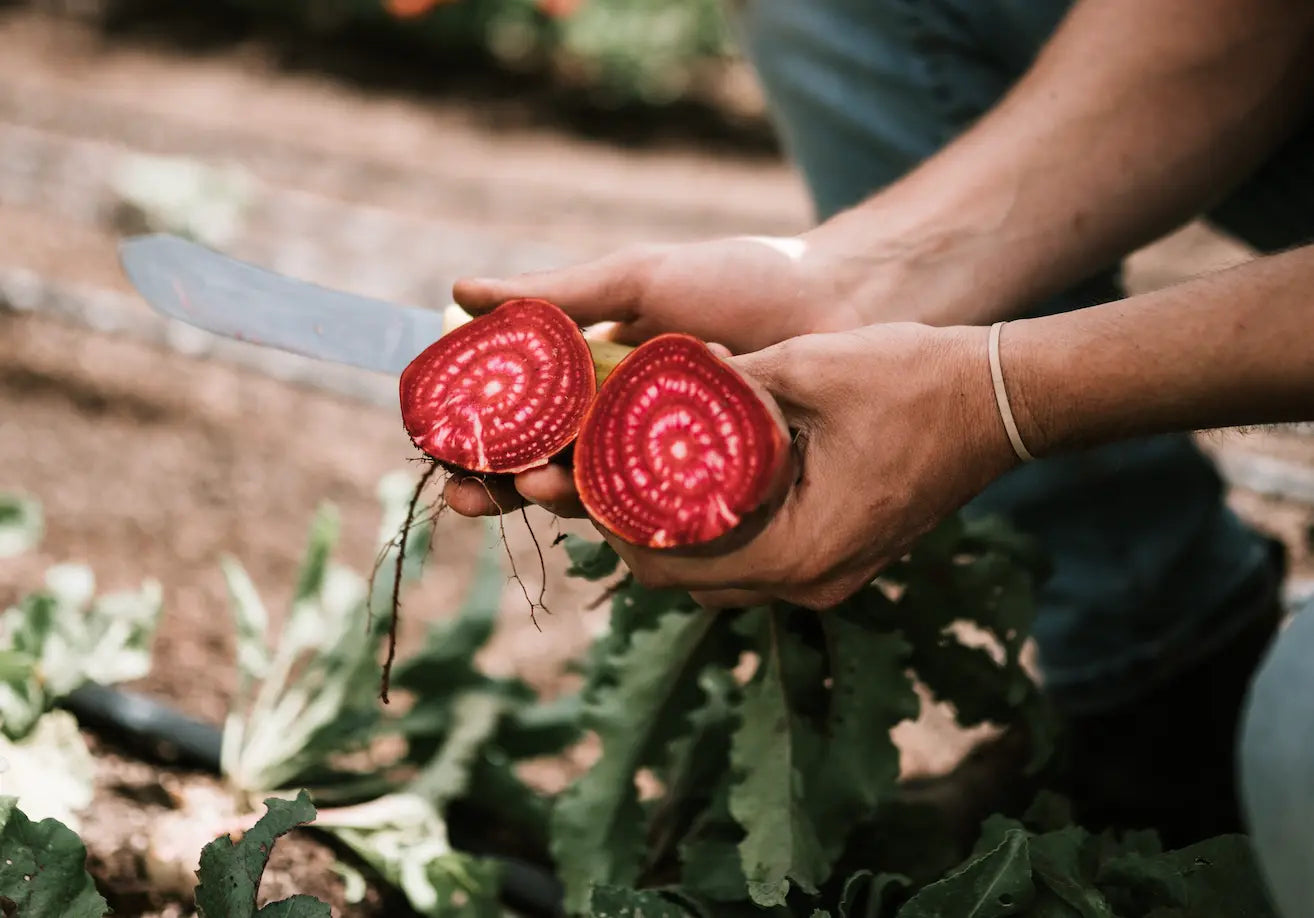 Natural-Flavours-isn-t-what-you-think-it-is. Australian Natural Protein Company